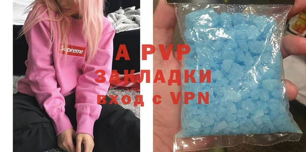 шишки Аркадак