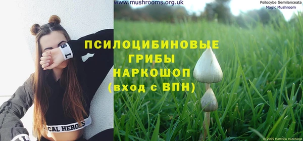 шишки Аркадак