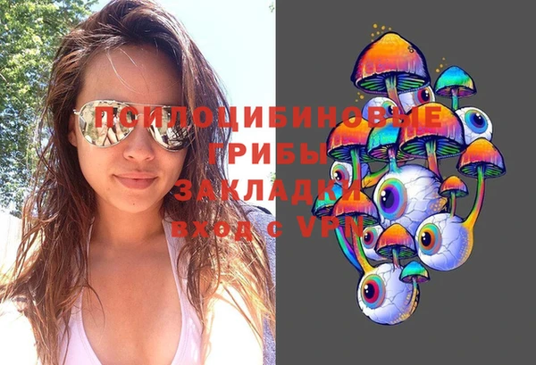 бошки Арсеньев