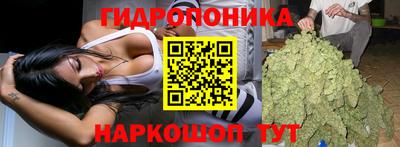 гидра Гусь-Хрустальный