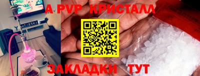 твердый Гусев