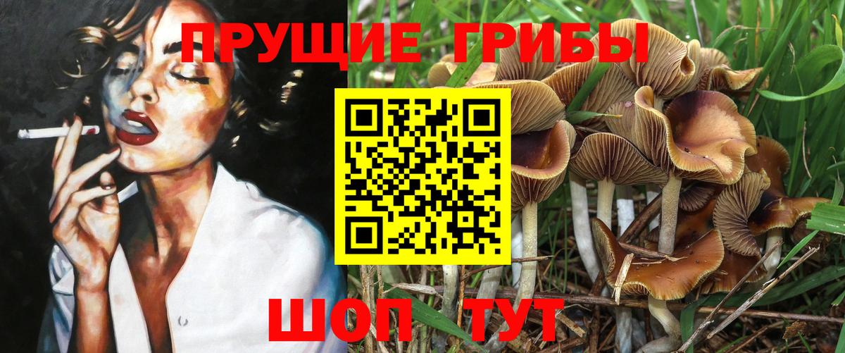 Галлюциногенные грибы мицелий  Вход с VPN  Мурманск 